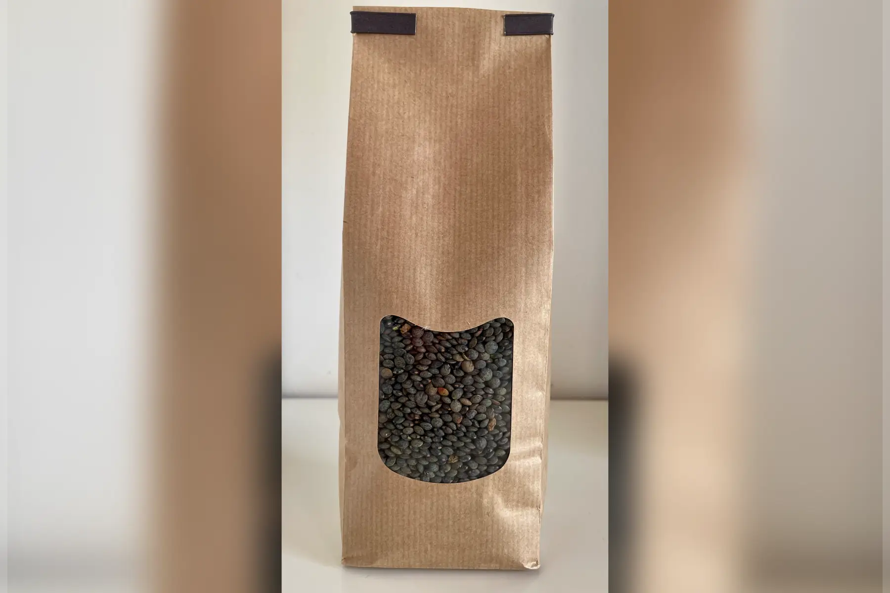 lentilles vertes bio