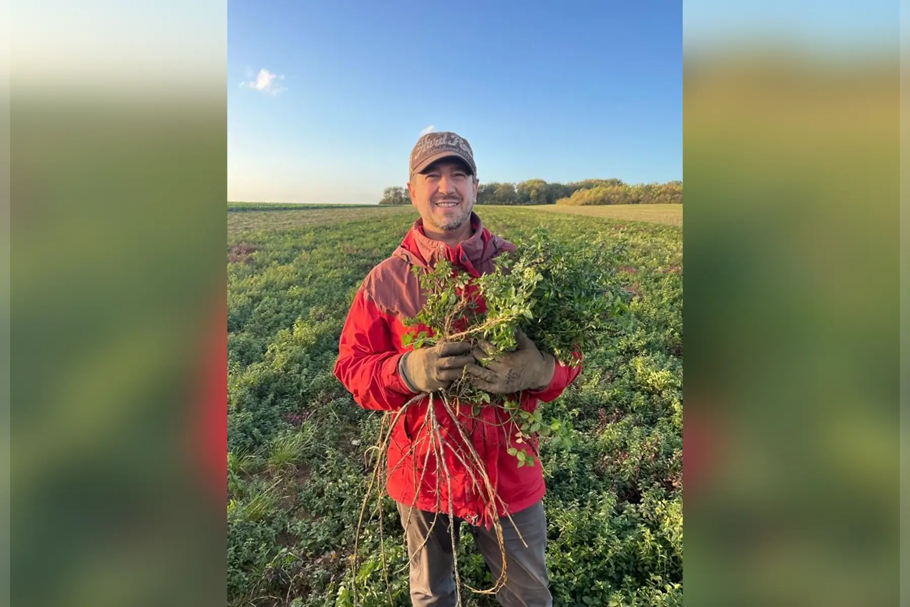 Ecoferme des mille et une feuilles
