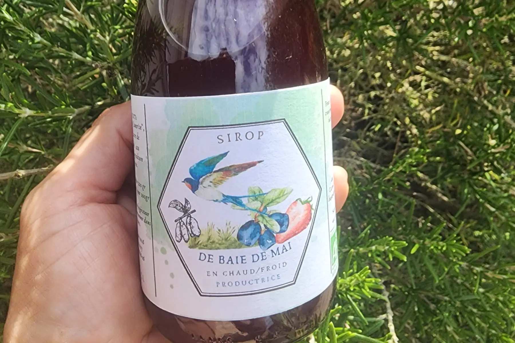 Sirop de Baie de Mai 25cl