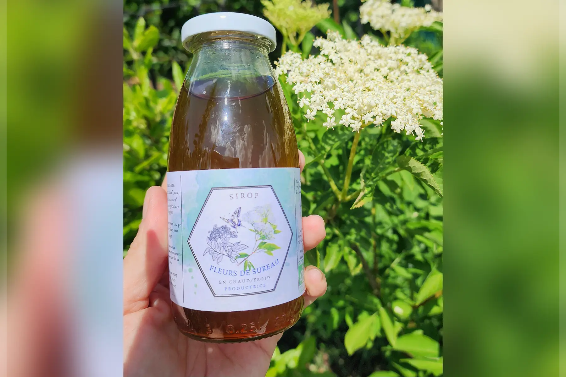 Sirop Fleurs de Sureau 25 cl