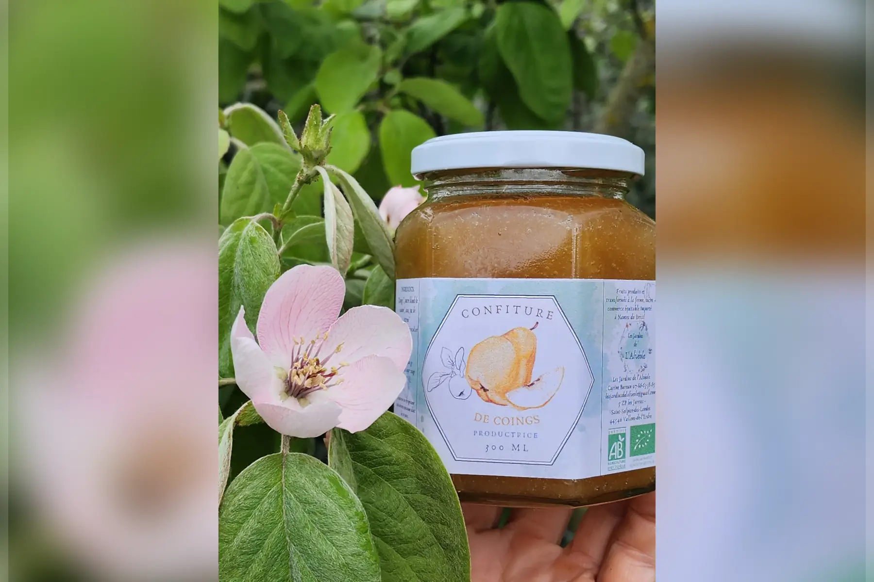 Confiture Coings 300 ml