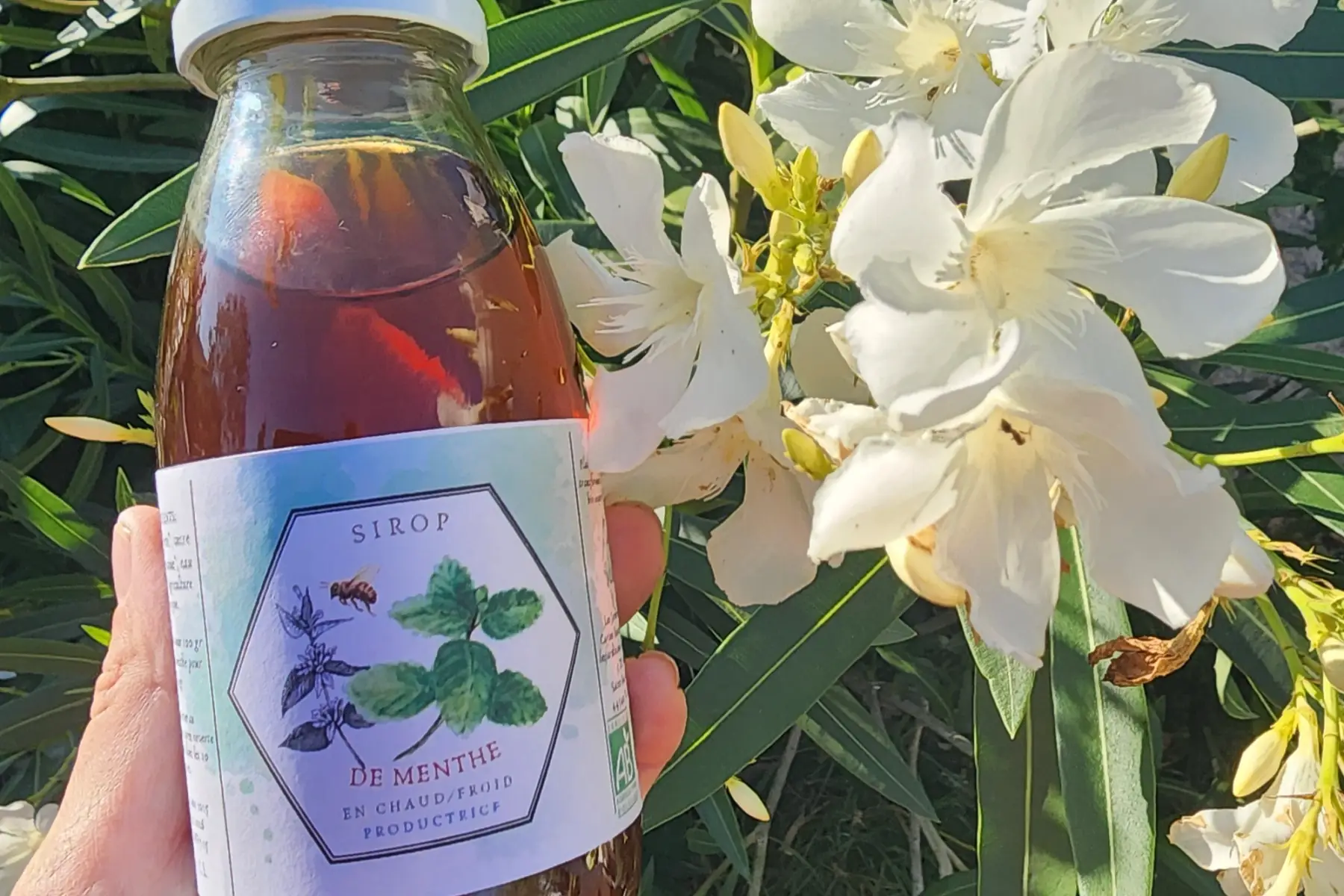 Sirop Menthe Verte 28 cl