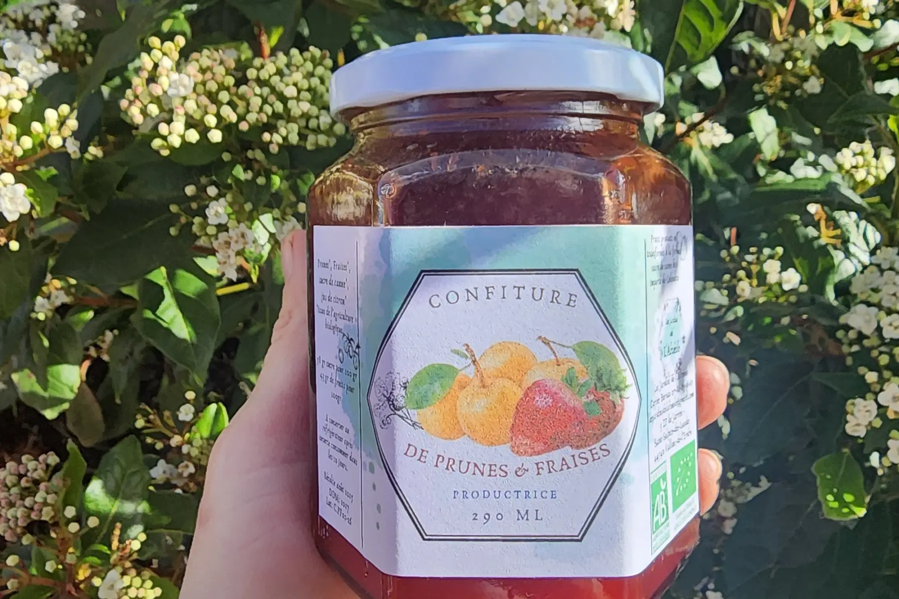 Confiture Prune Fraise
