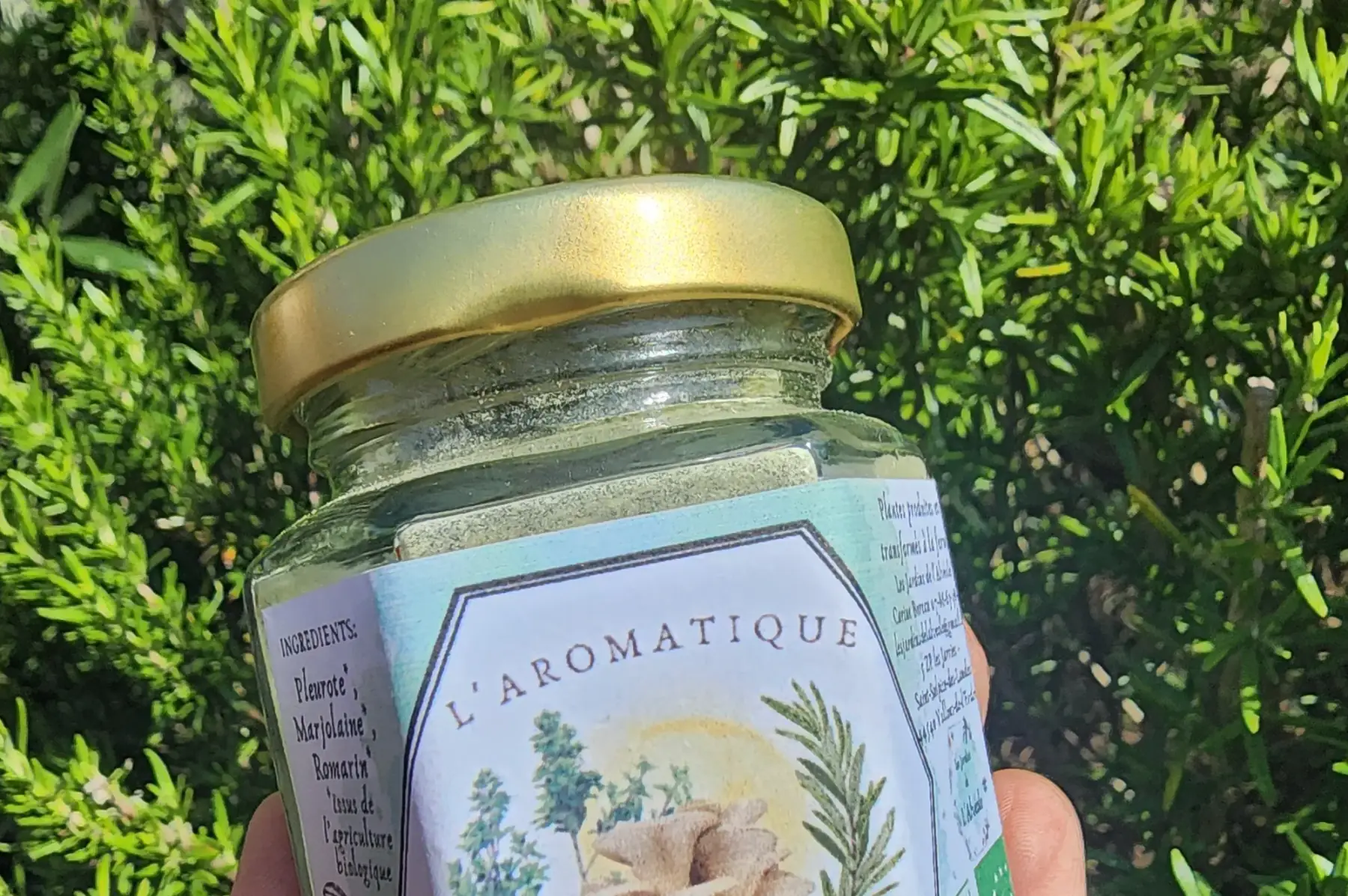 L'aromatique- La Forestière (pleurote) 30 gr