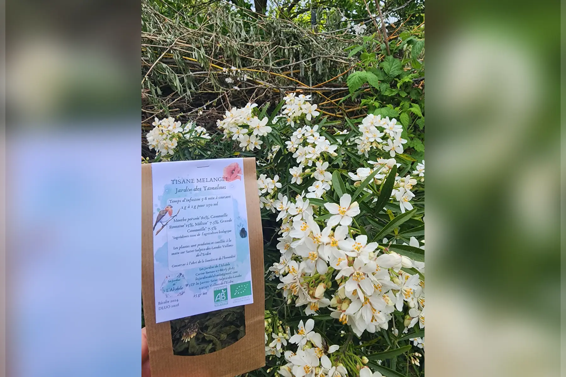 Tisane des Tamalous 25 gr