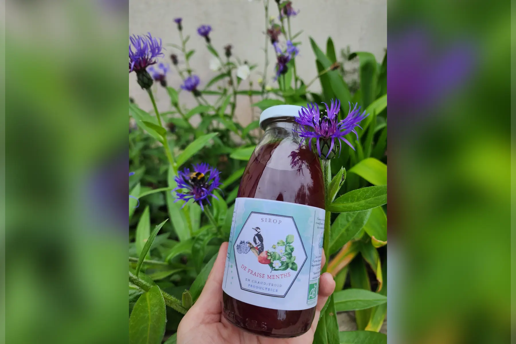 Sirop de Fraise Menthe. 25 cl