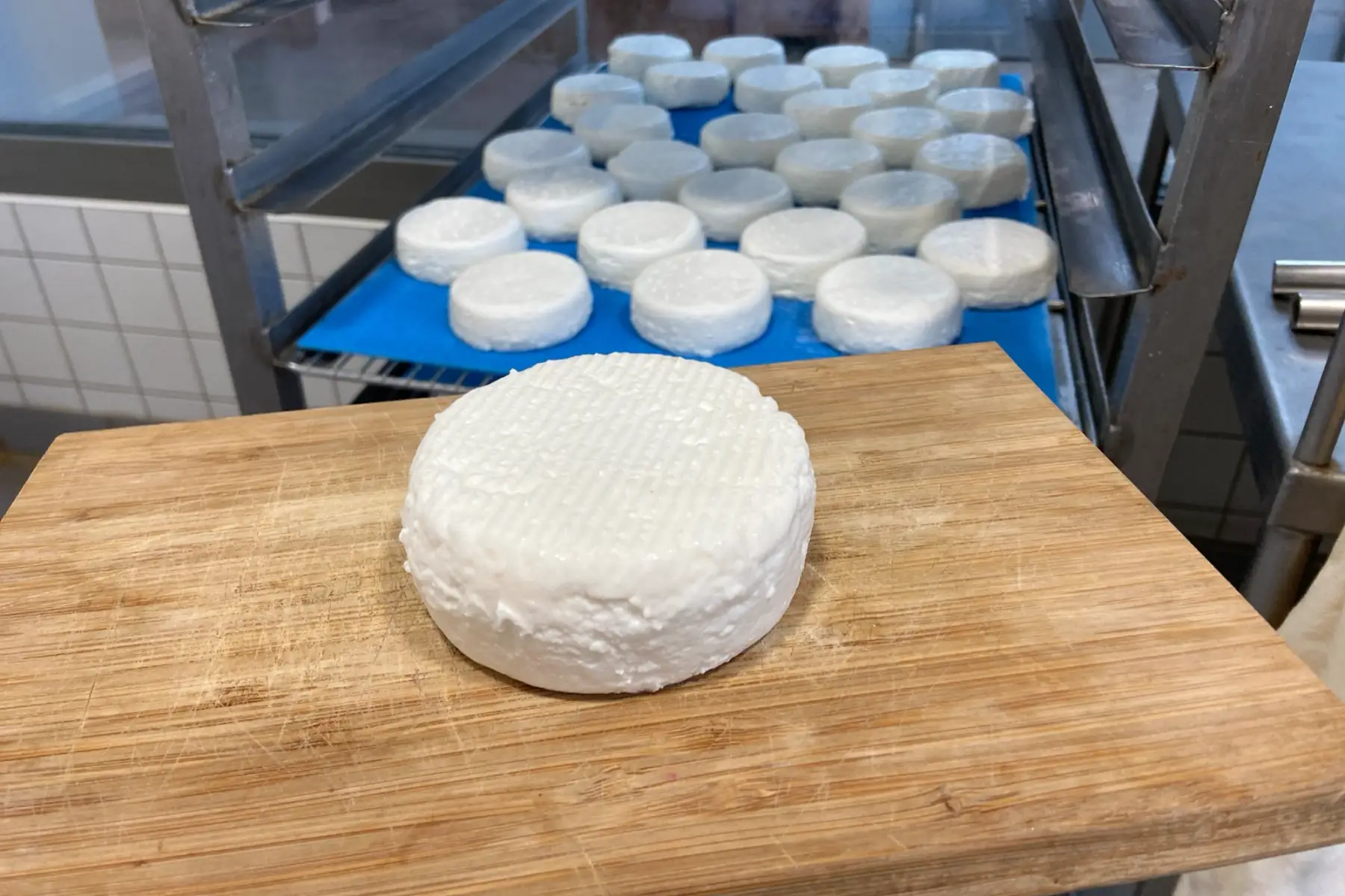 Crottin de chèvre frais