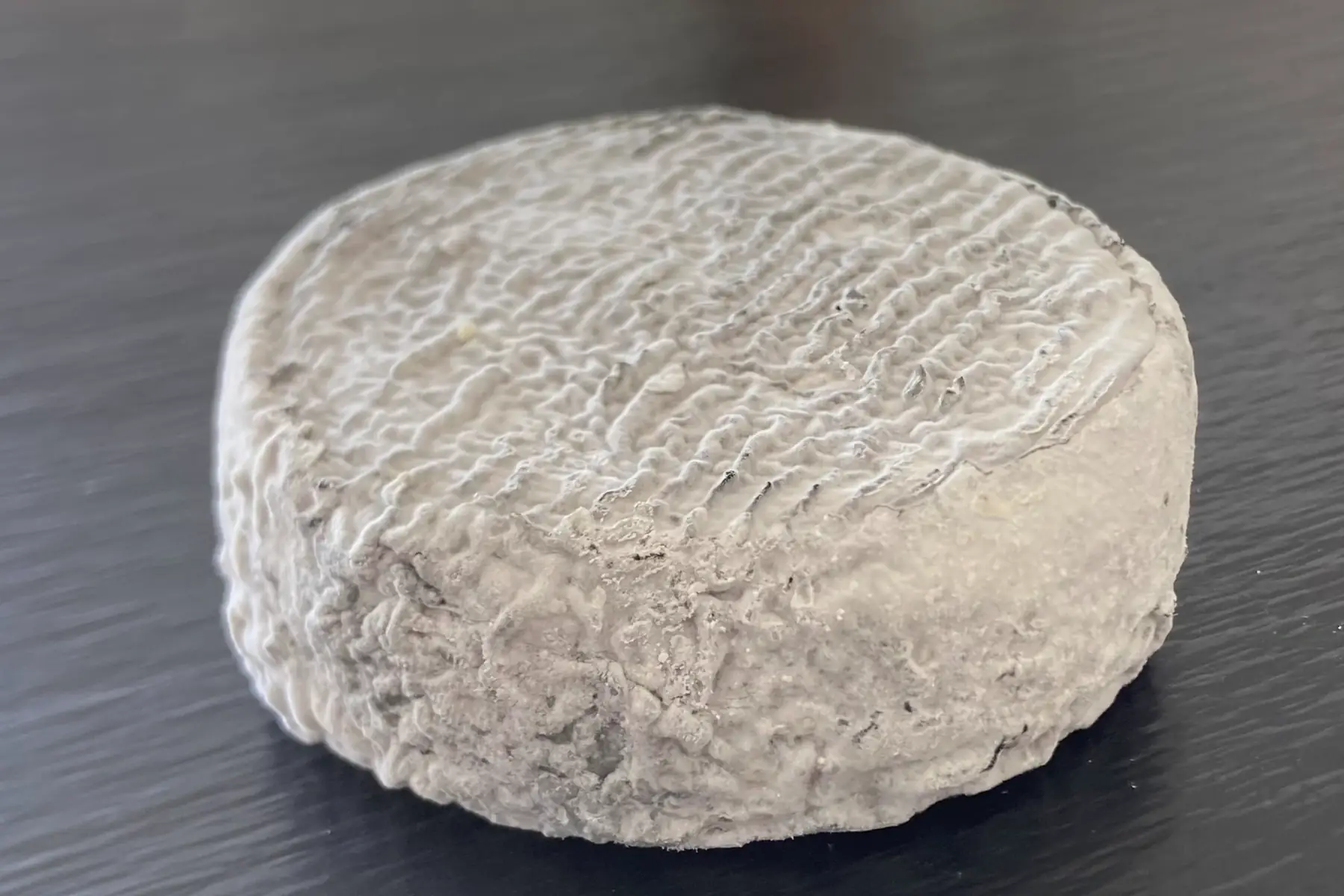 Crottin de chèvre cendré