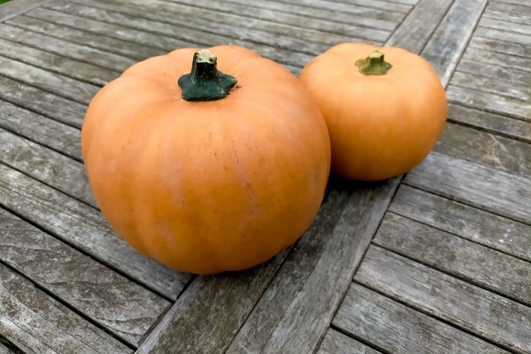 Courge Carat bio 1 kg