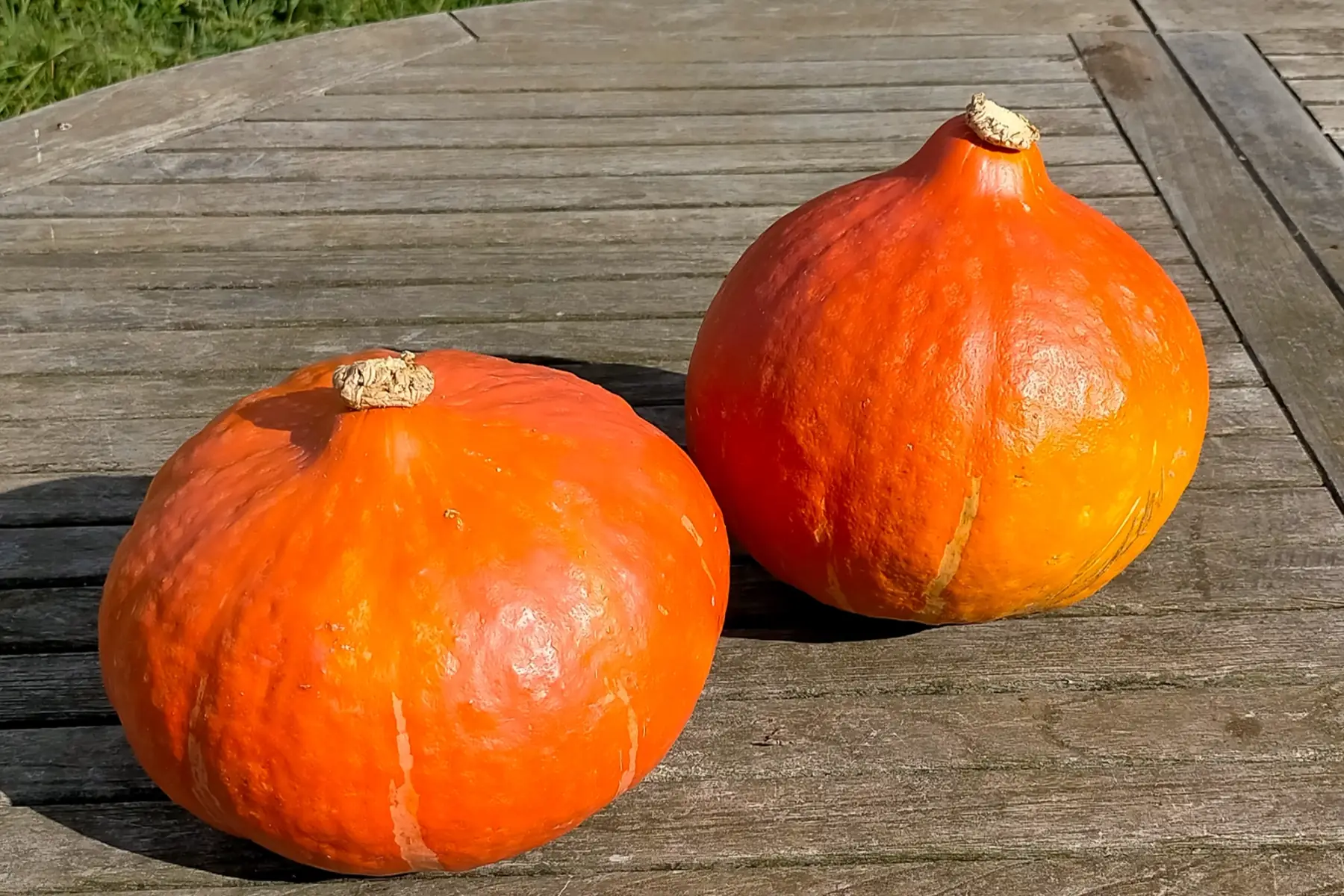 Potimarron bio 1,3 kg