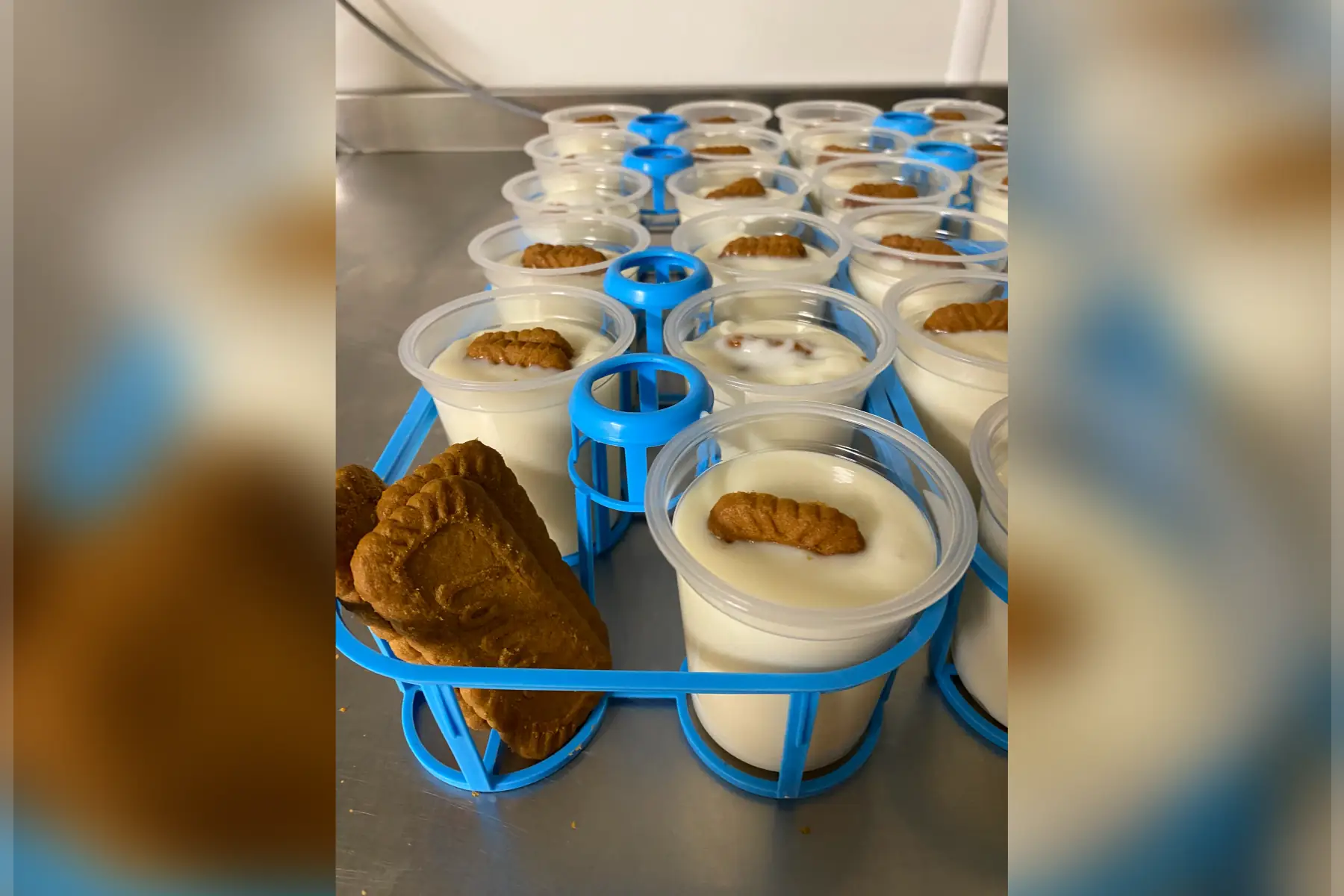 Pack de 4 crèmes desserts au spéculoos au lait de chèvre pasteurisé