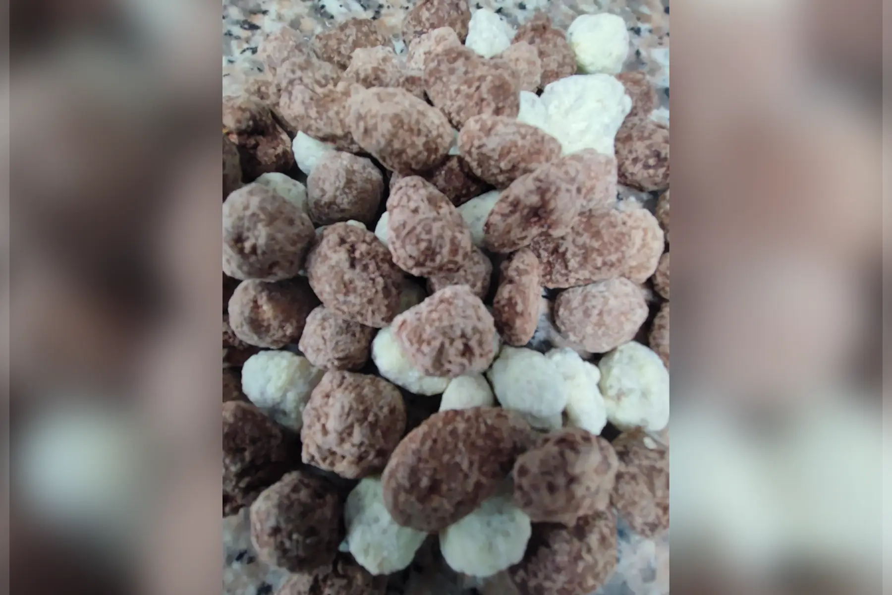 Fruits secs enrobés