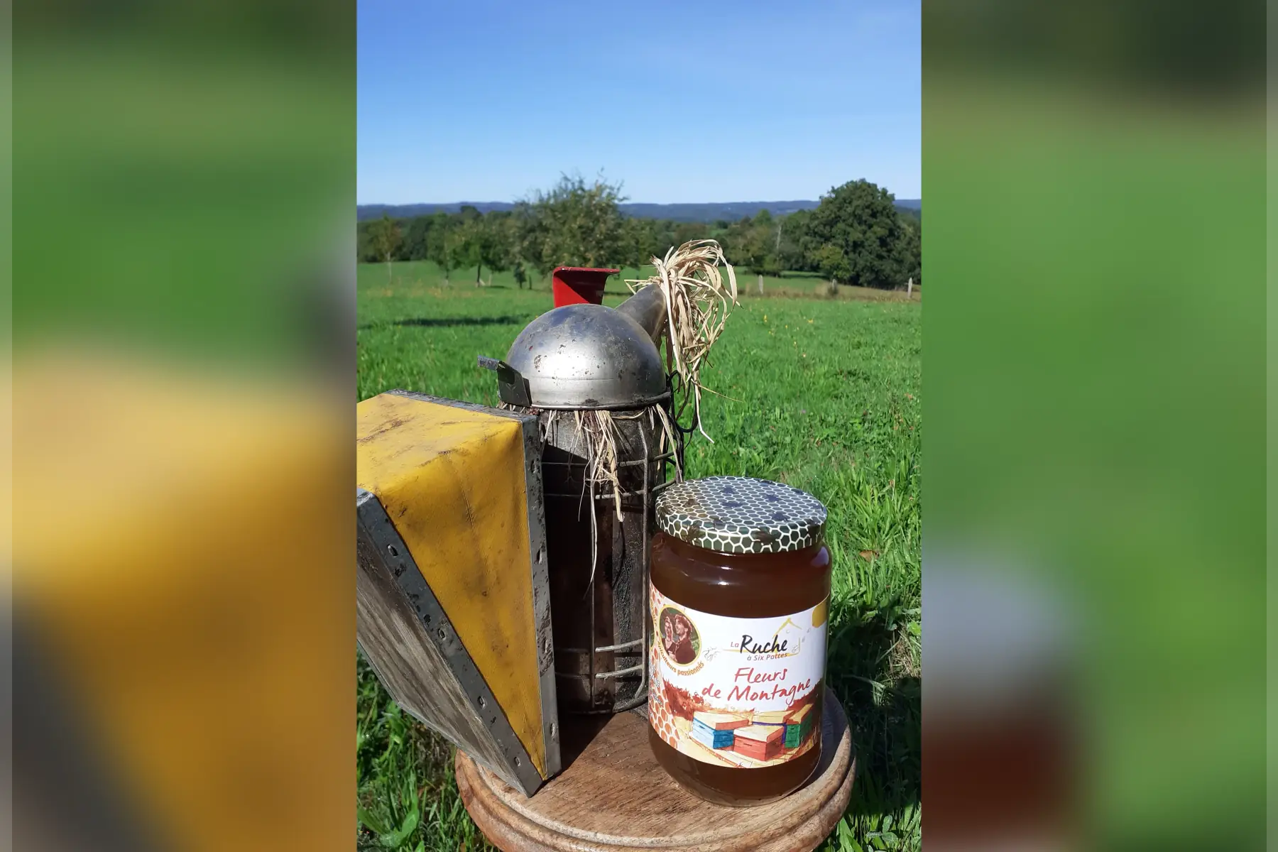 Miel de Fleurs de Montagne BIO nouvelle récolte 2025