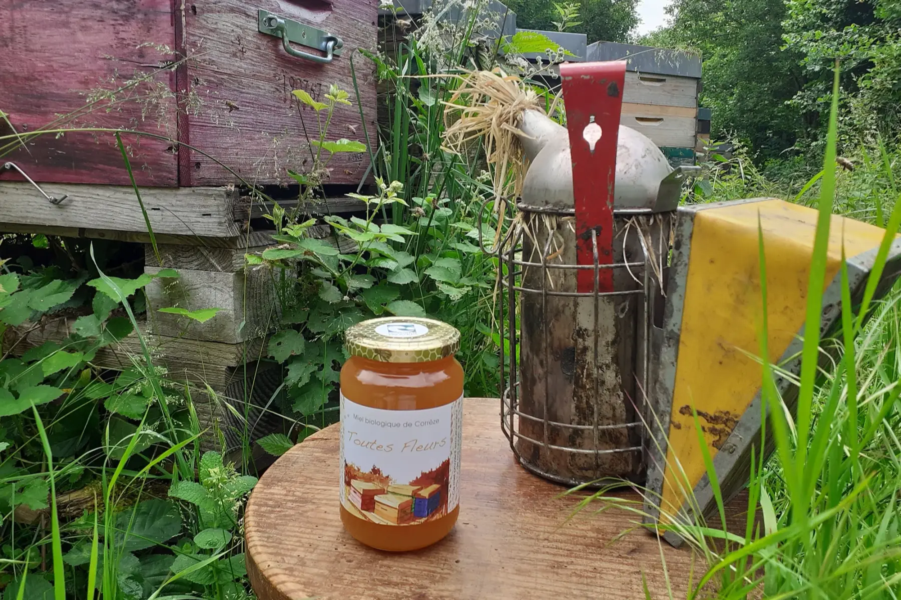 Miel de Toutes Fleurs BIO
