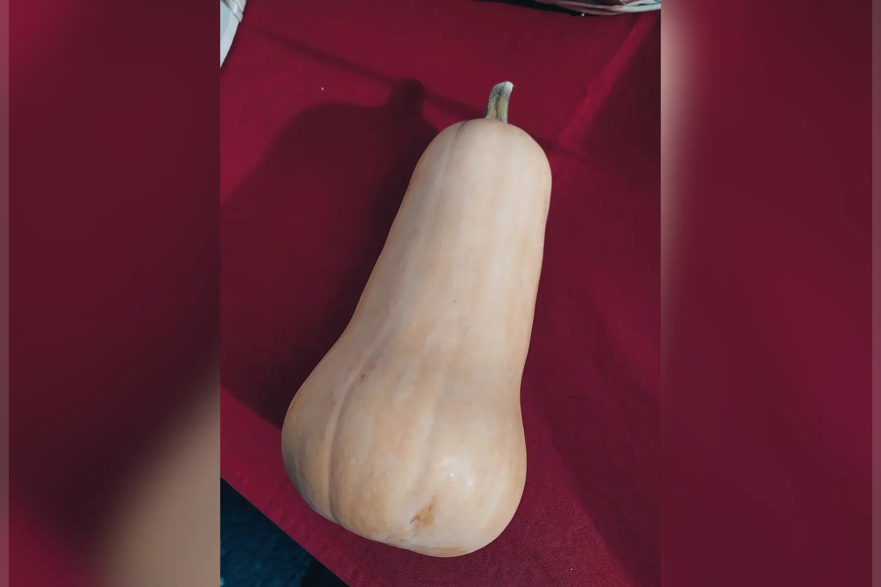 Butternut