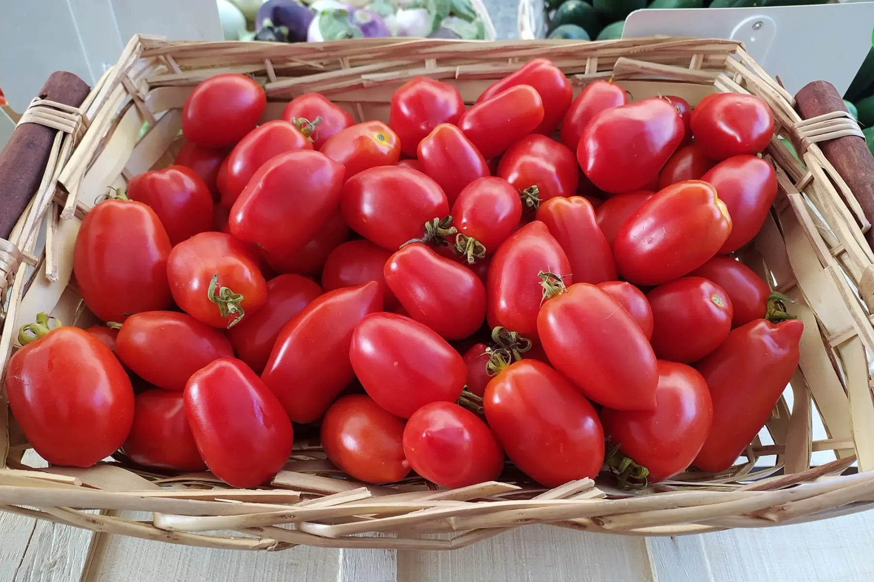 Tomate Roma