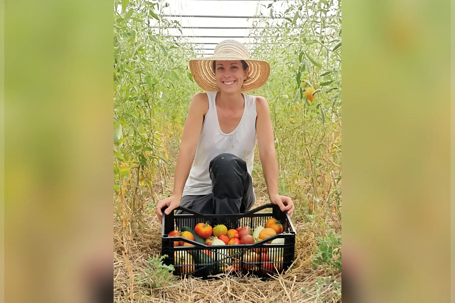 Les Bons Jardins d'Antan