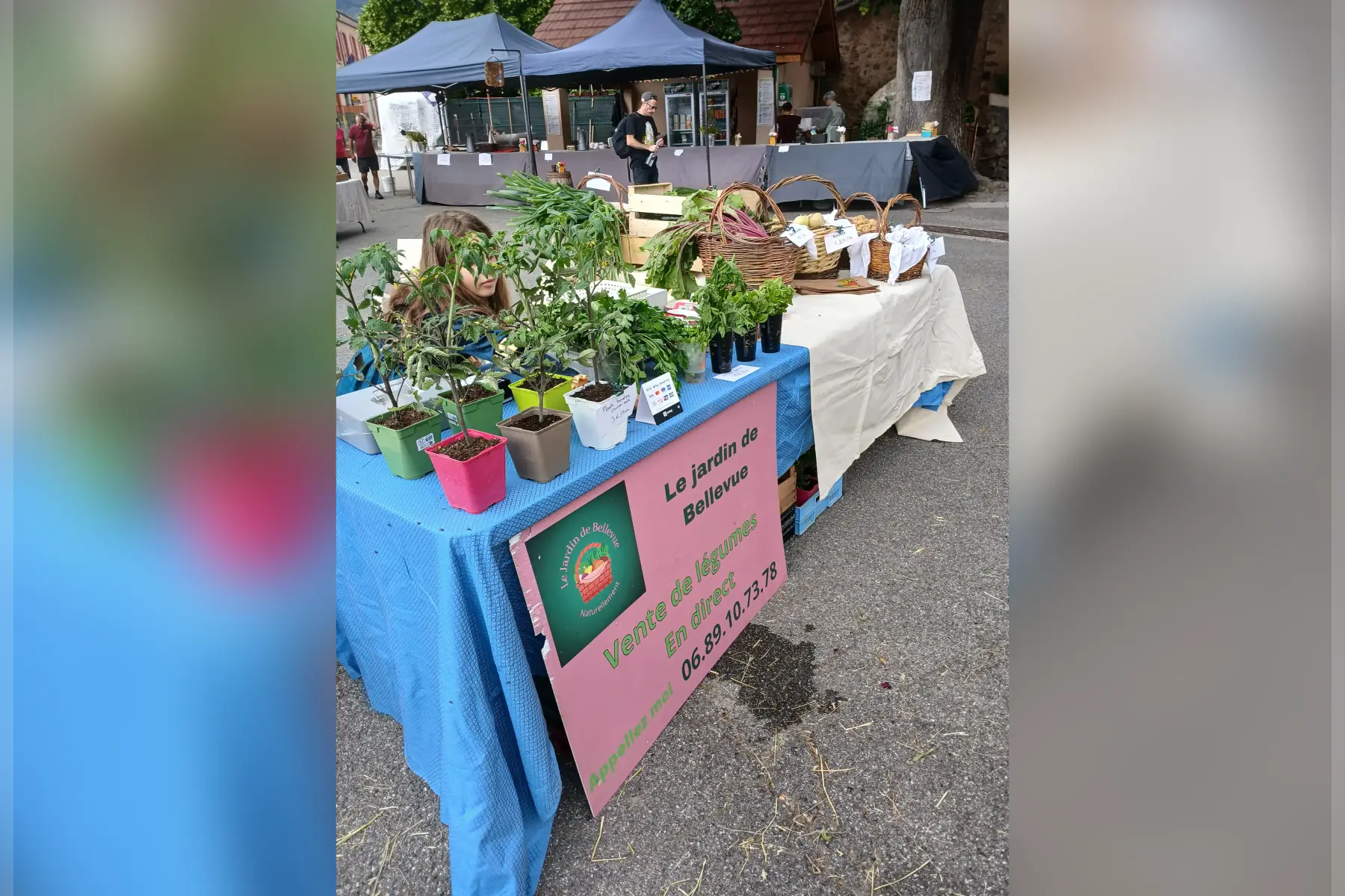 Le jardin de Bellevue