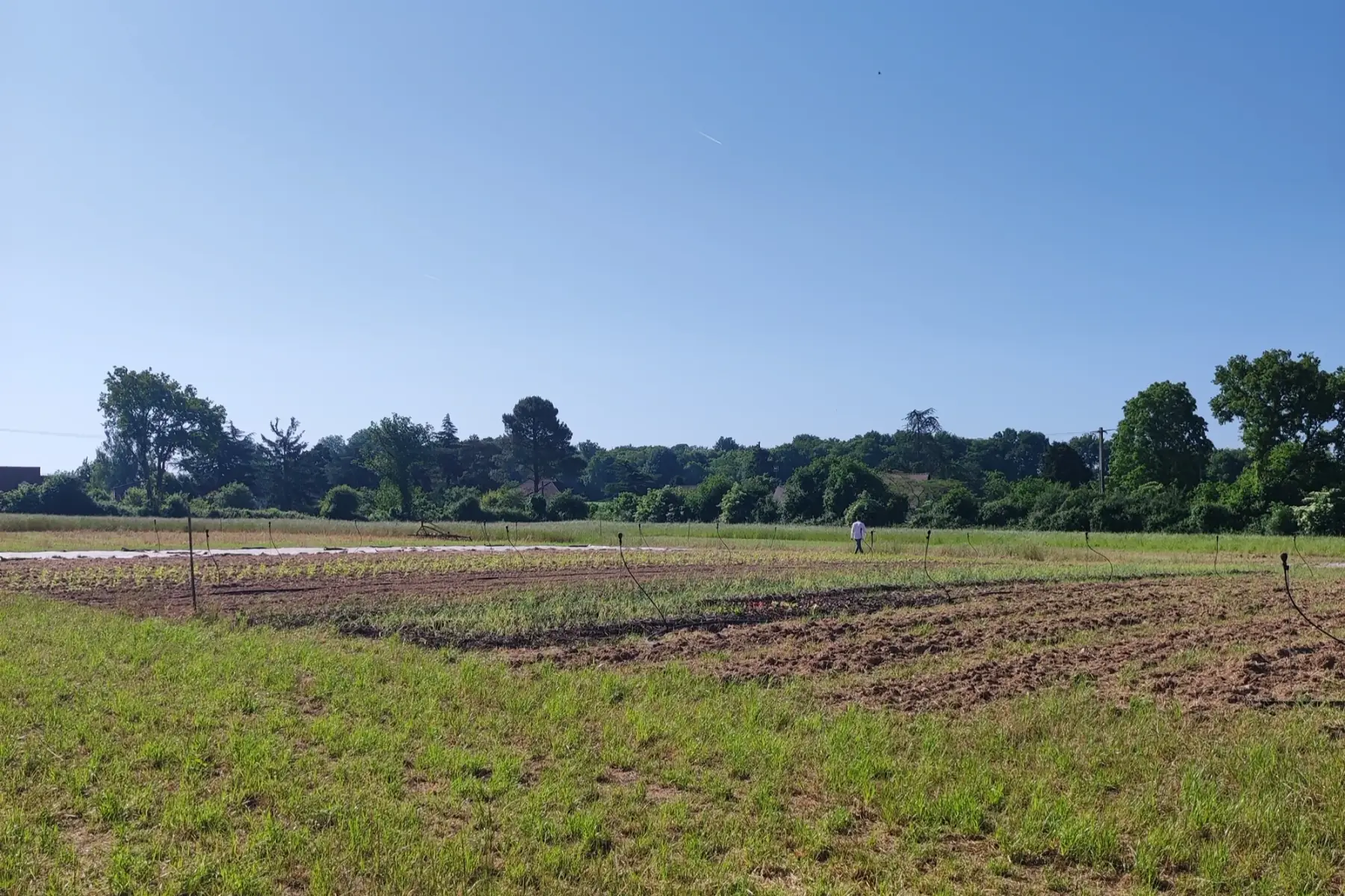 Gaec La Ferme du Petit Fouillet
