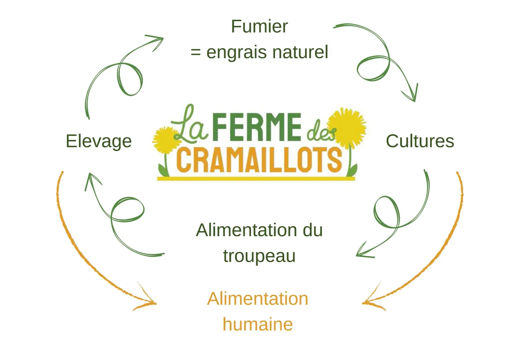 GAEC DES CRAMAILLOTS