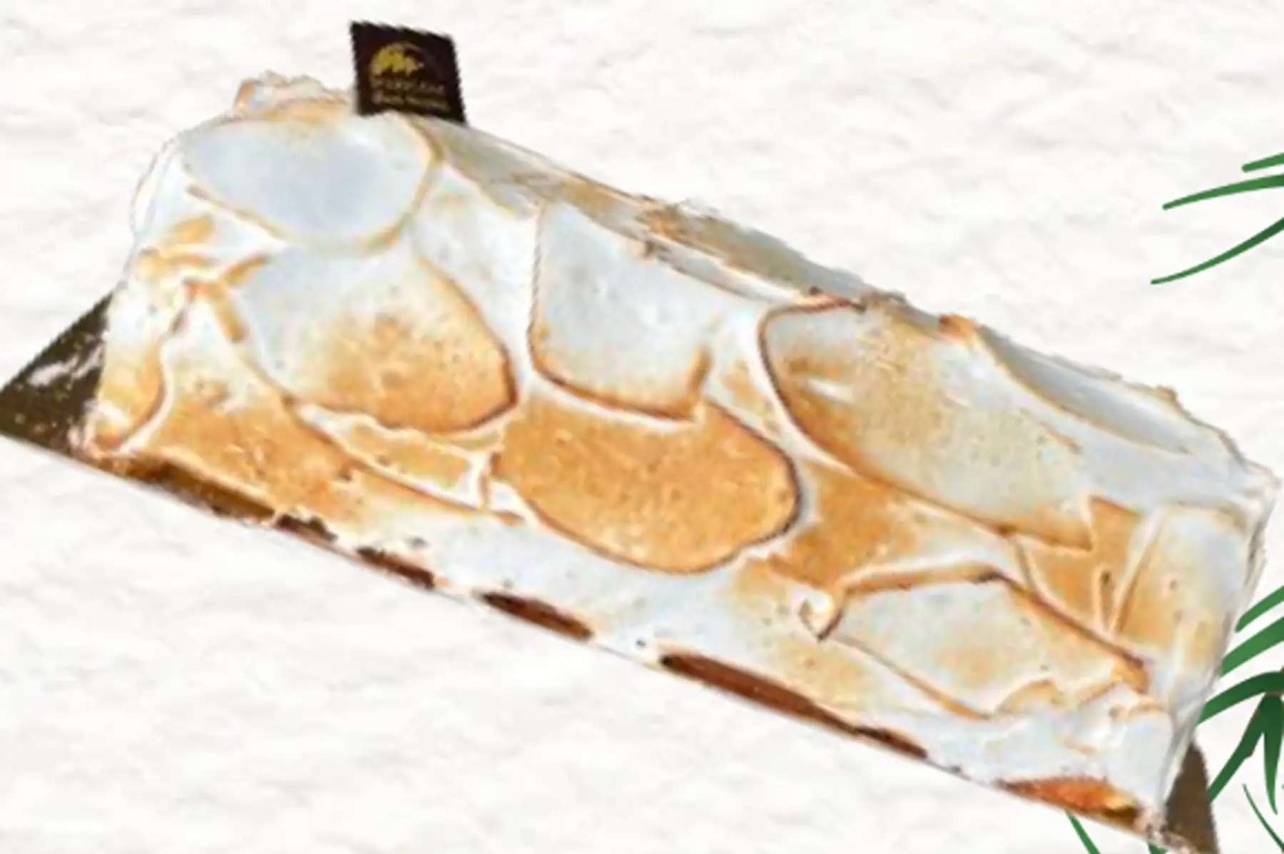 Omelette Norvégienne Crème glacée Vanille et Sorbet Fraise 8/10 parts