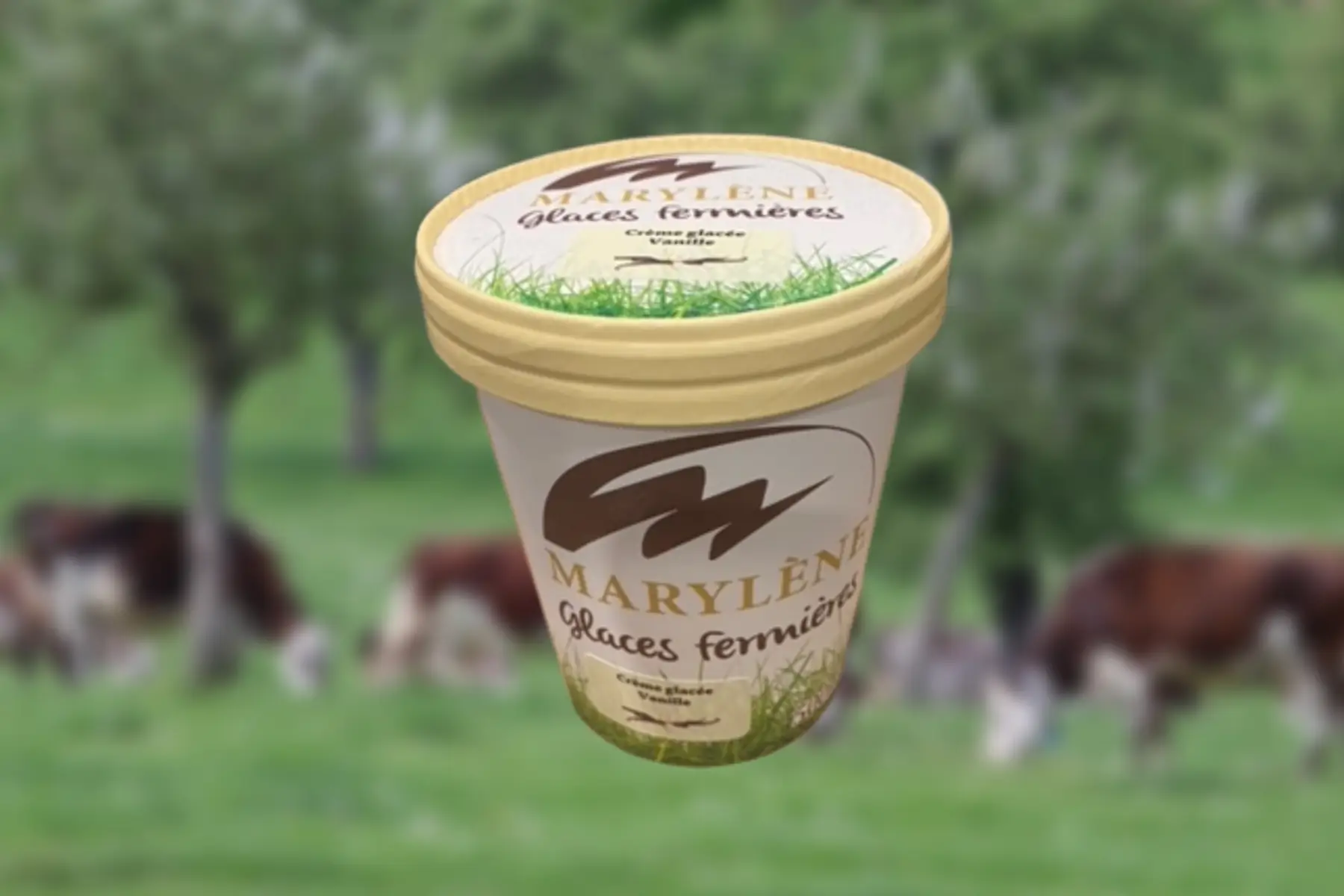 Crème Glacée Vanille 500ml