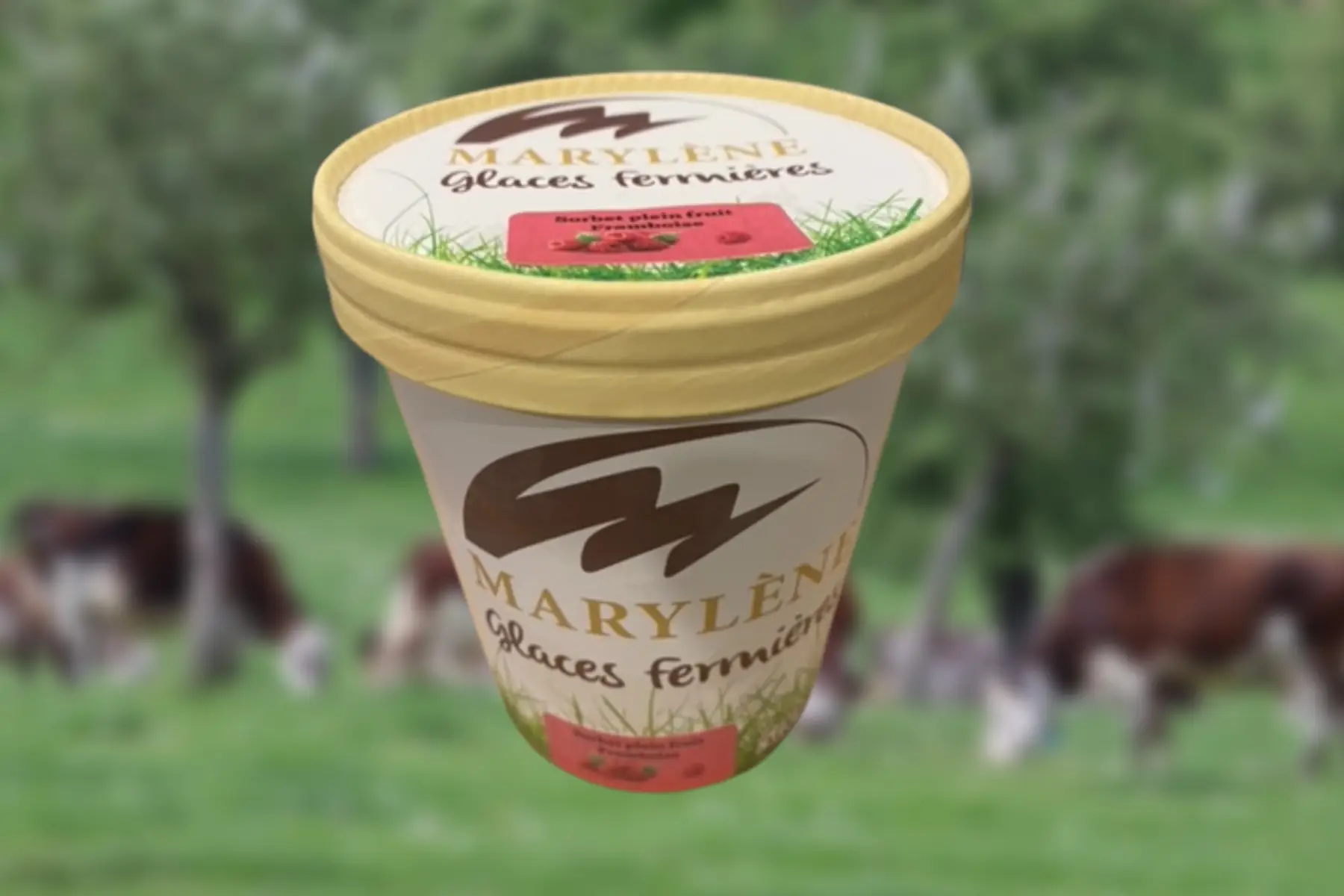 Sorbet Framboise 500ml