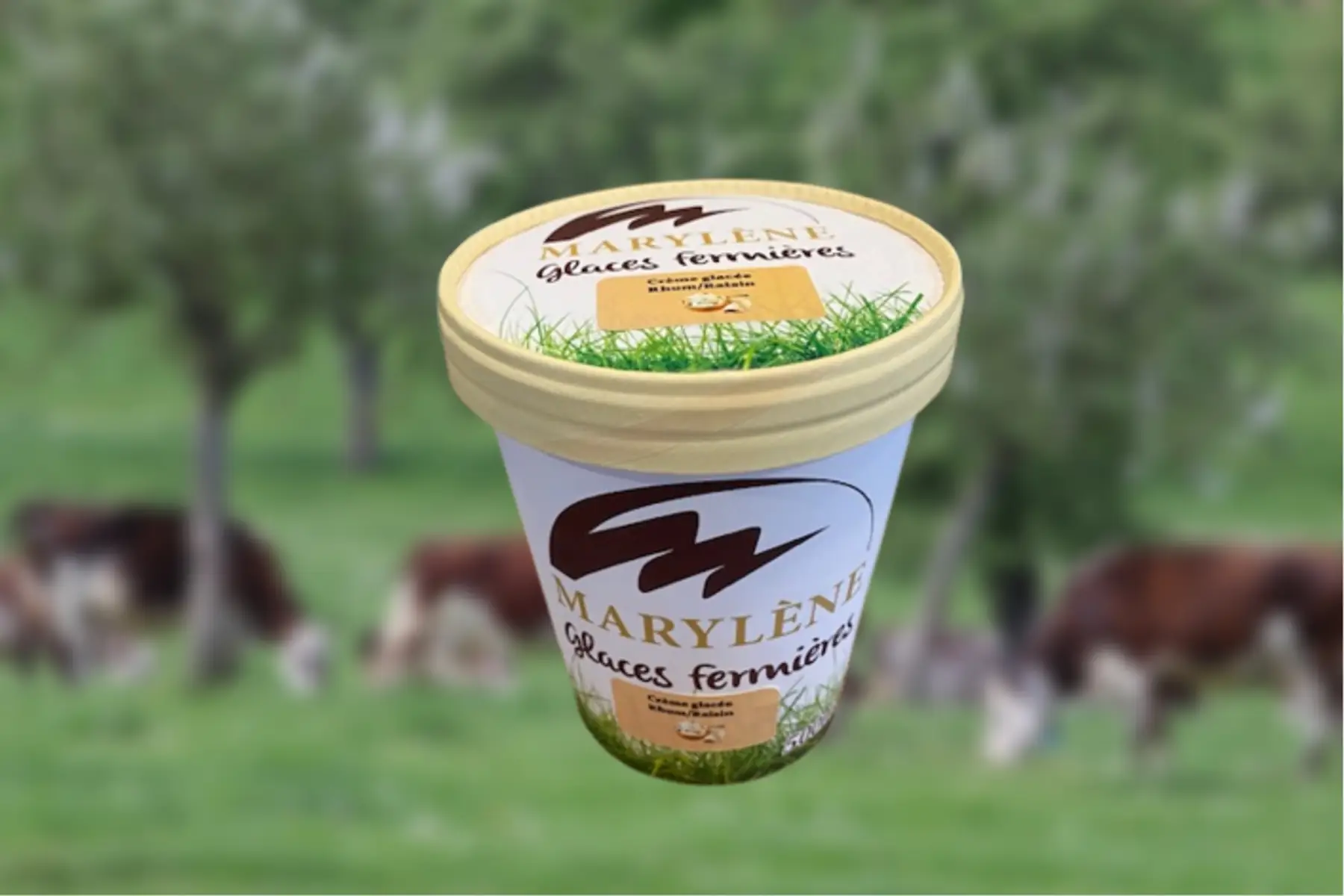 Crème Glacée Rhum Raisins 500ml