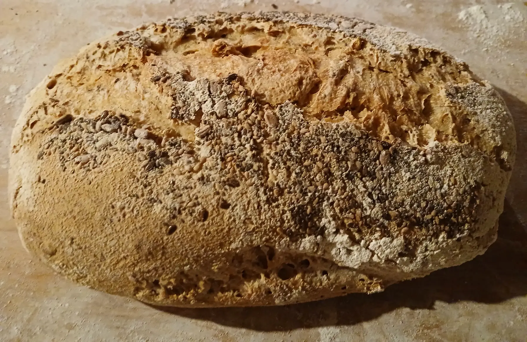 Pain Bis Multigraines levain naturel bio 500g