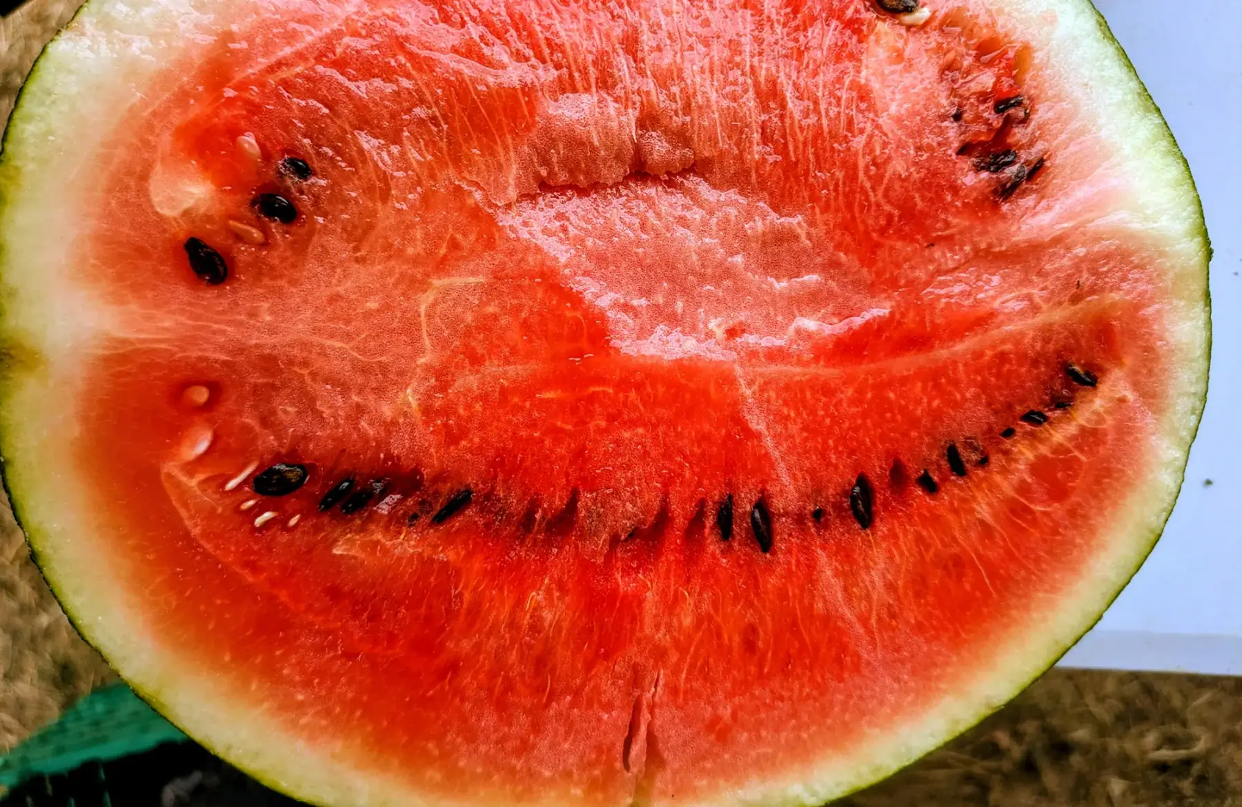 Pastèque