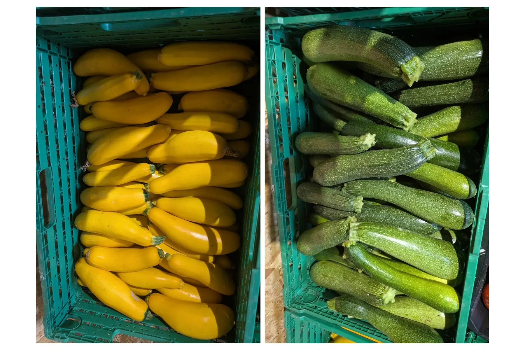 Courgettes
