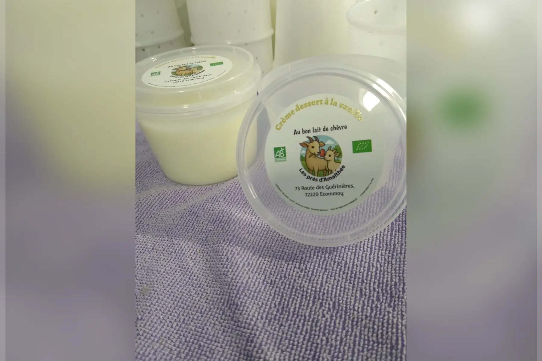 Crème dessert vanille