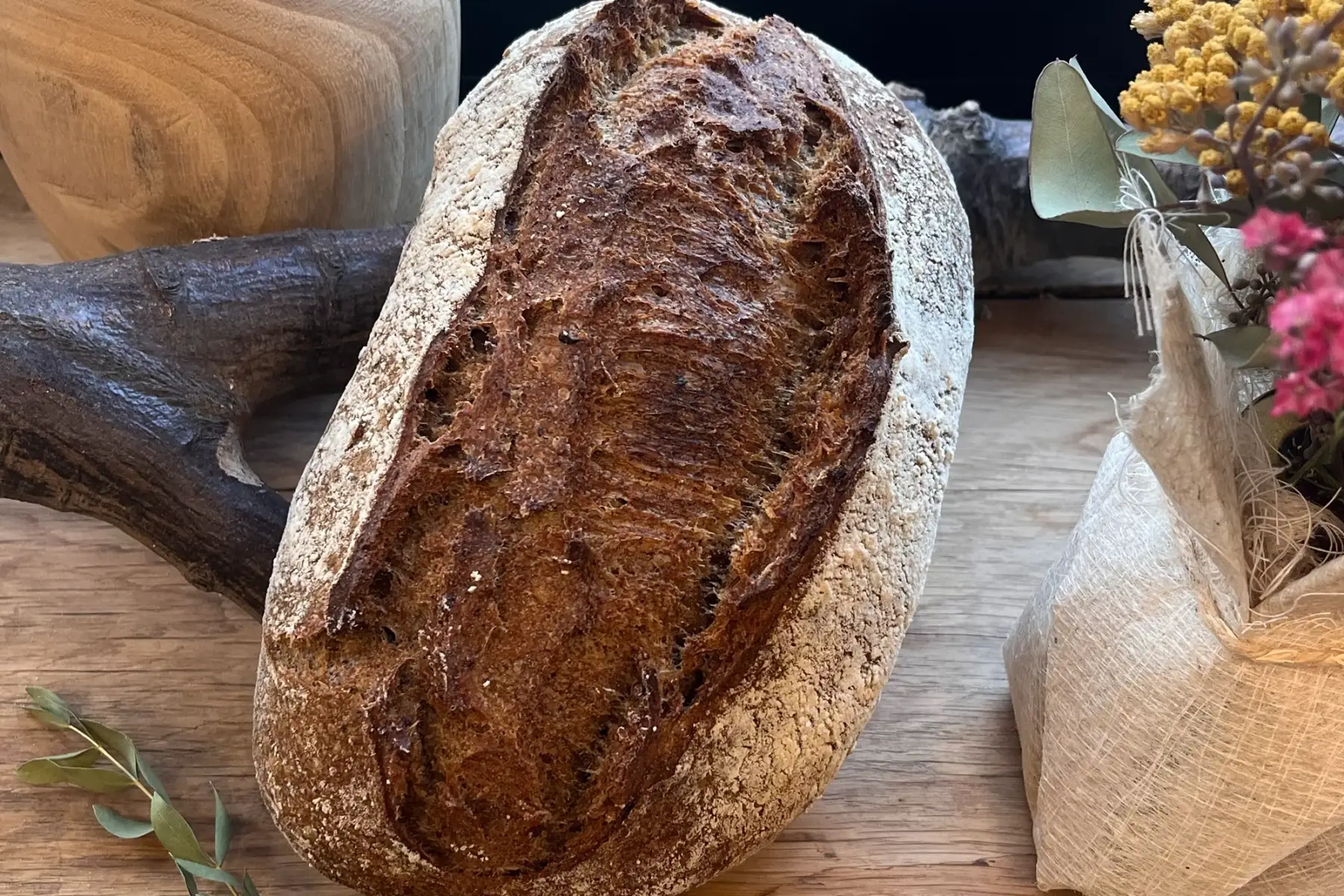 Phénix biologique ~500g