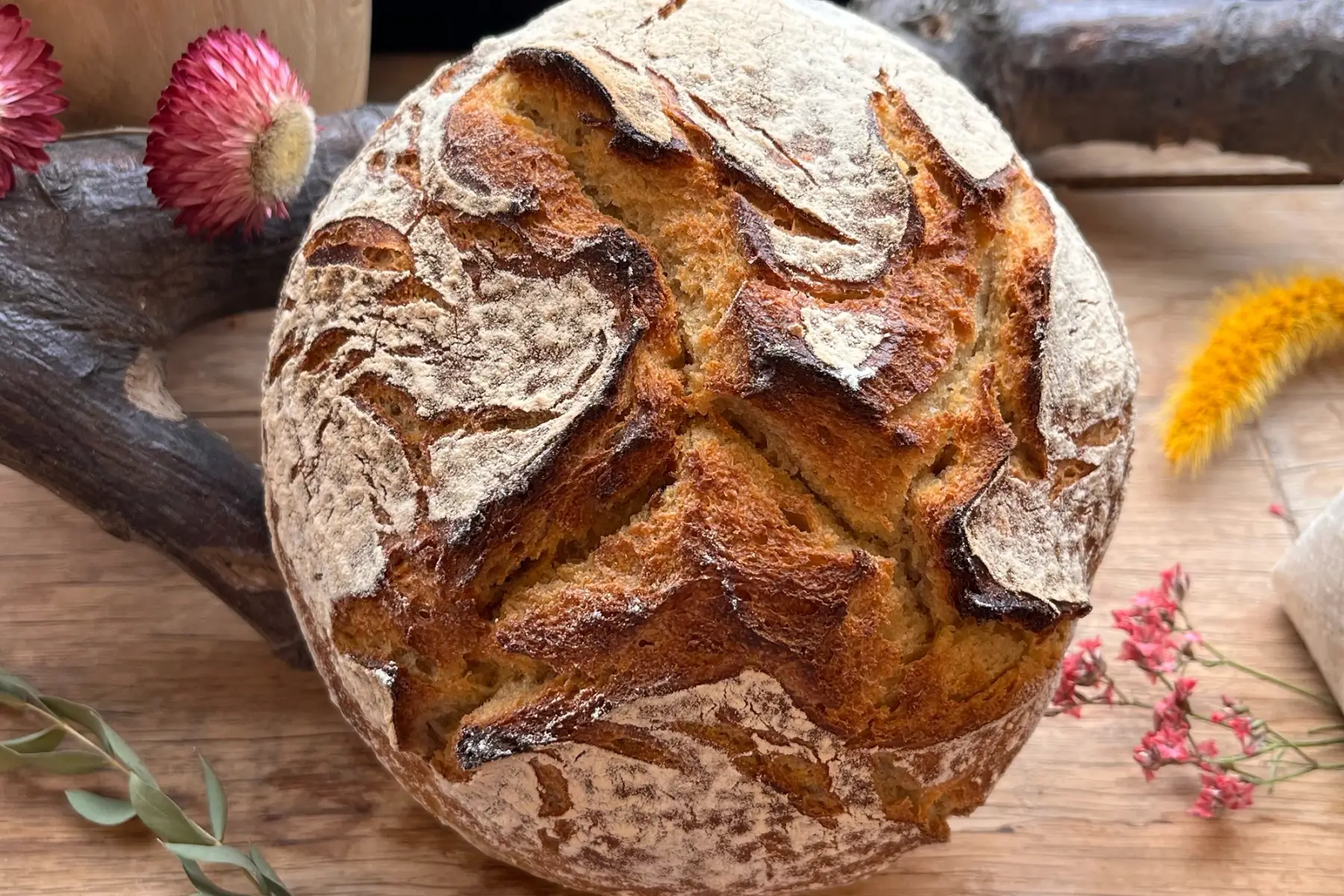 Petit Epeautre biologique ~500g