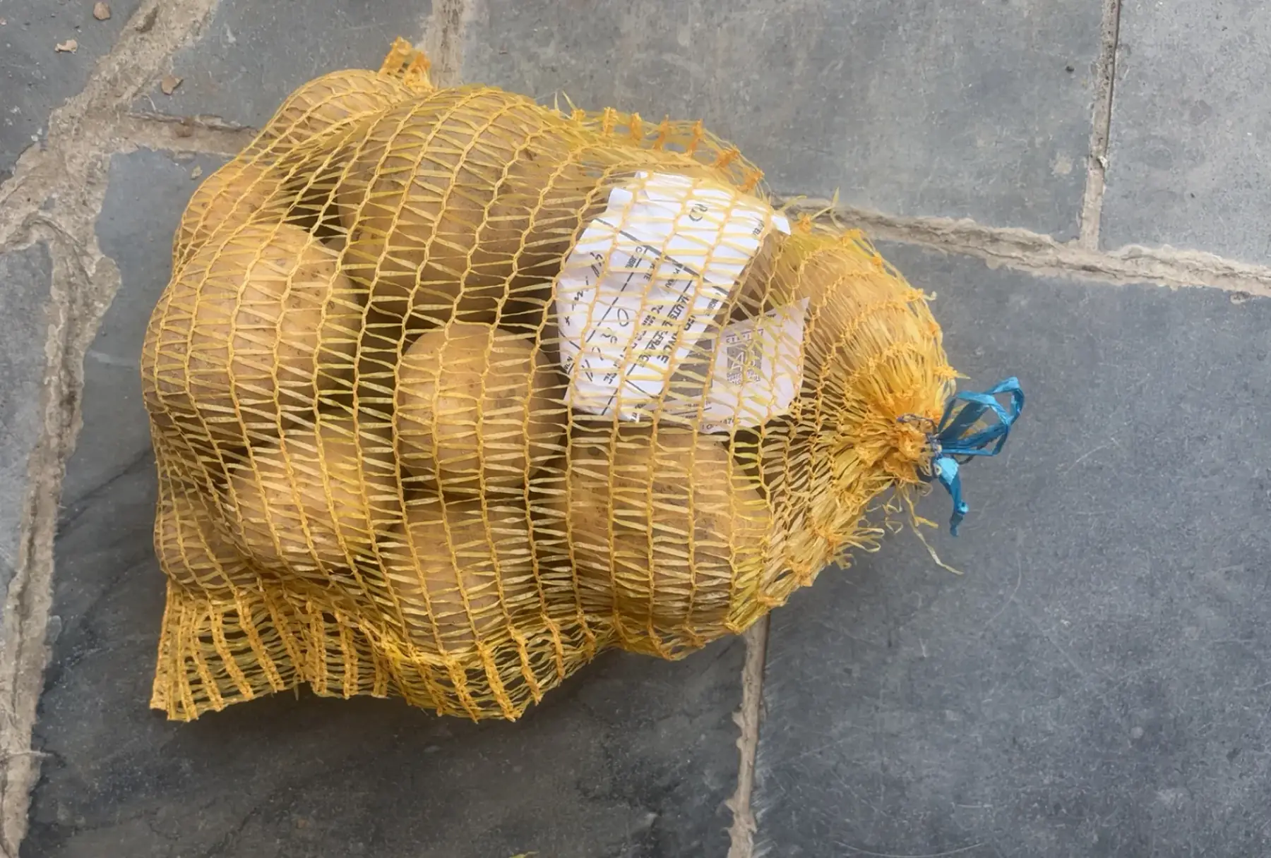 Pommes de terre "Orla" par filet de 3 kilos