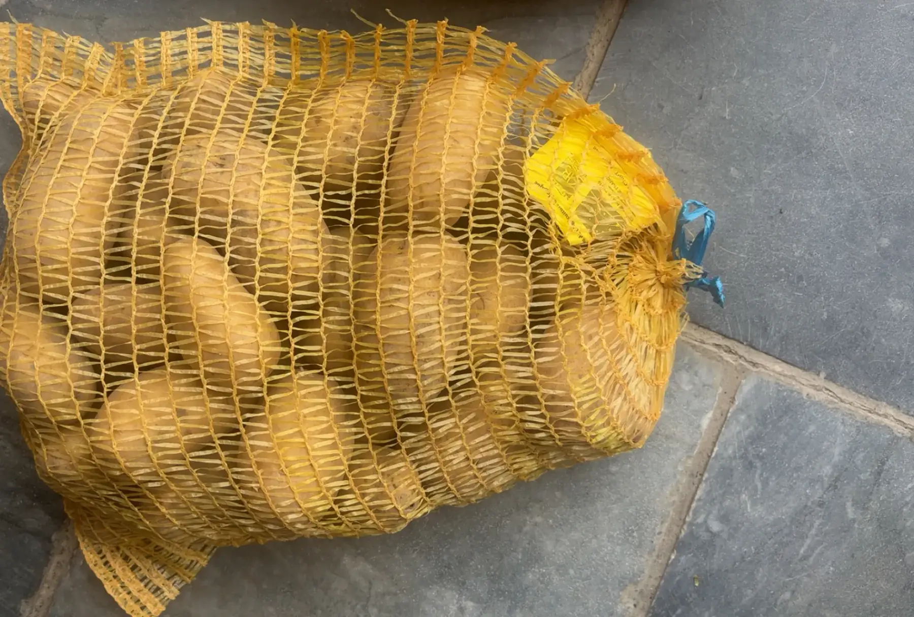 Pommes de terre "Charlotte" par filet de 3 kilos