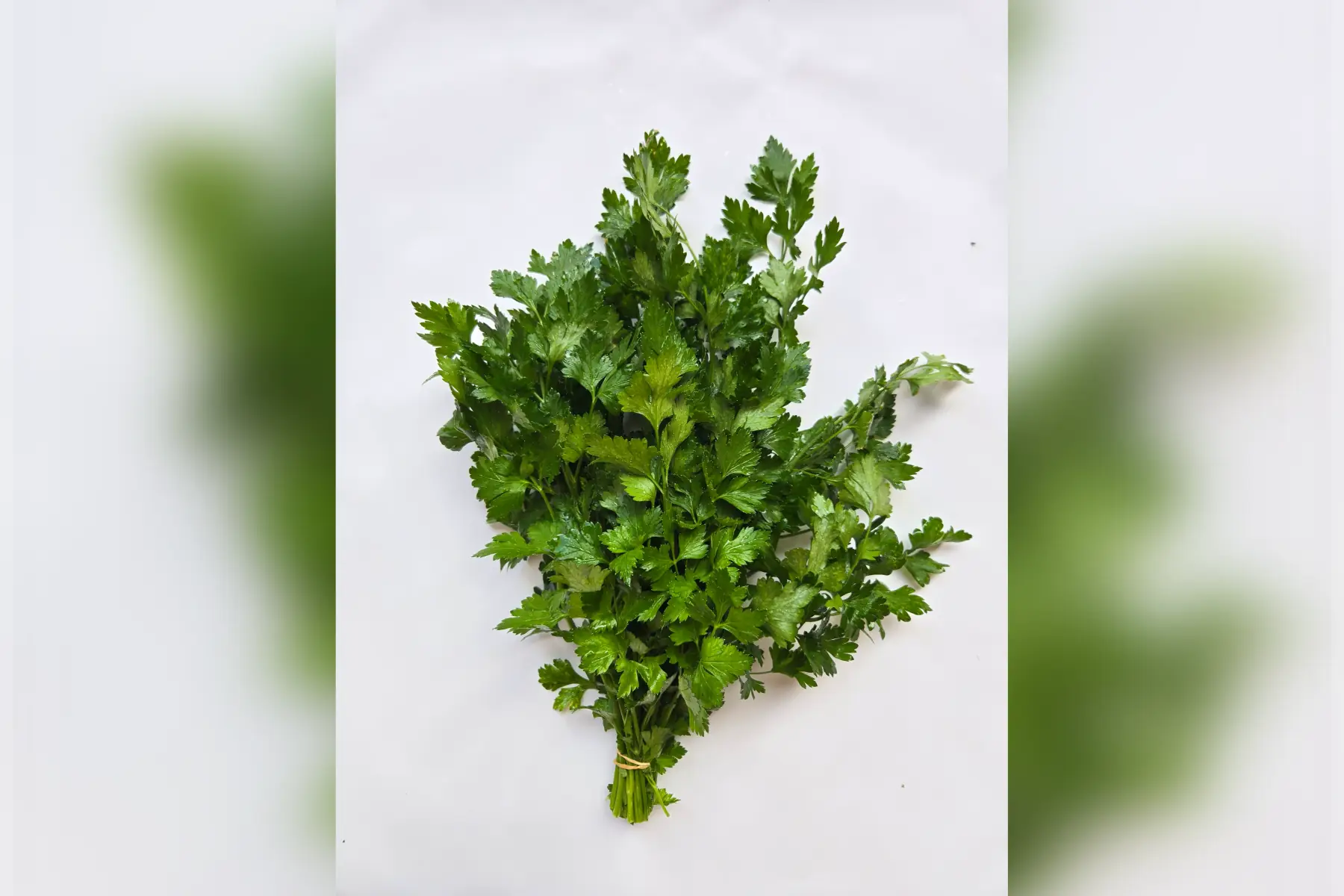 Persil plat
