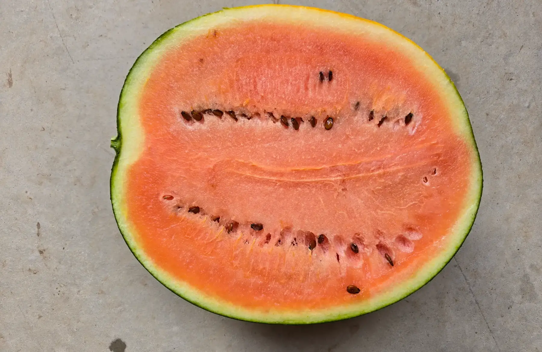 pastèque