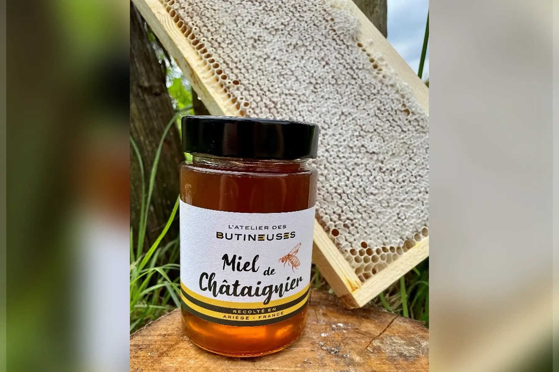 Miel de Châtaignier