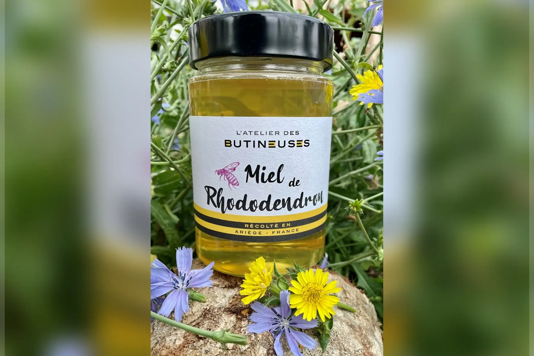 Miel de Rhododendron