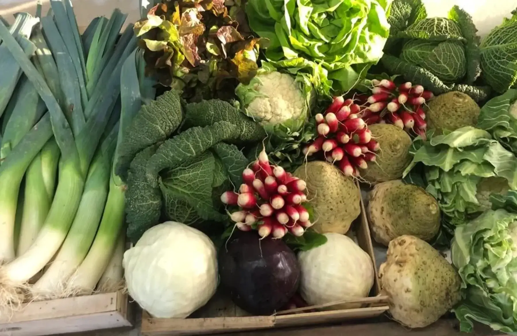 Les Jardins De La Chauvinière