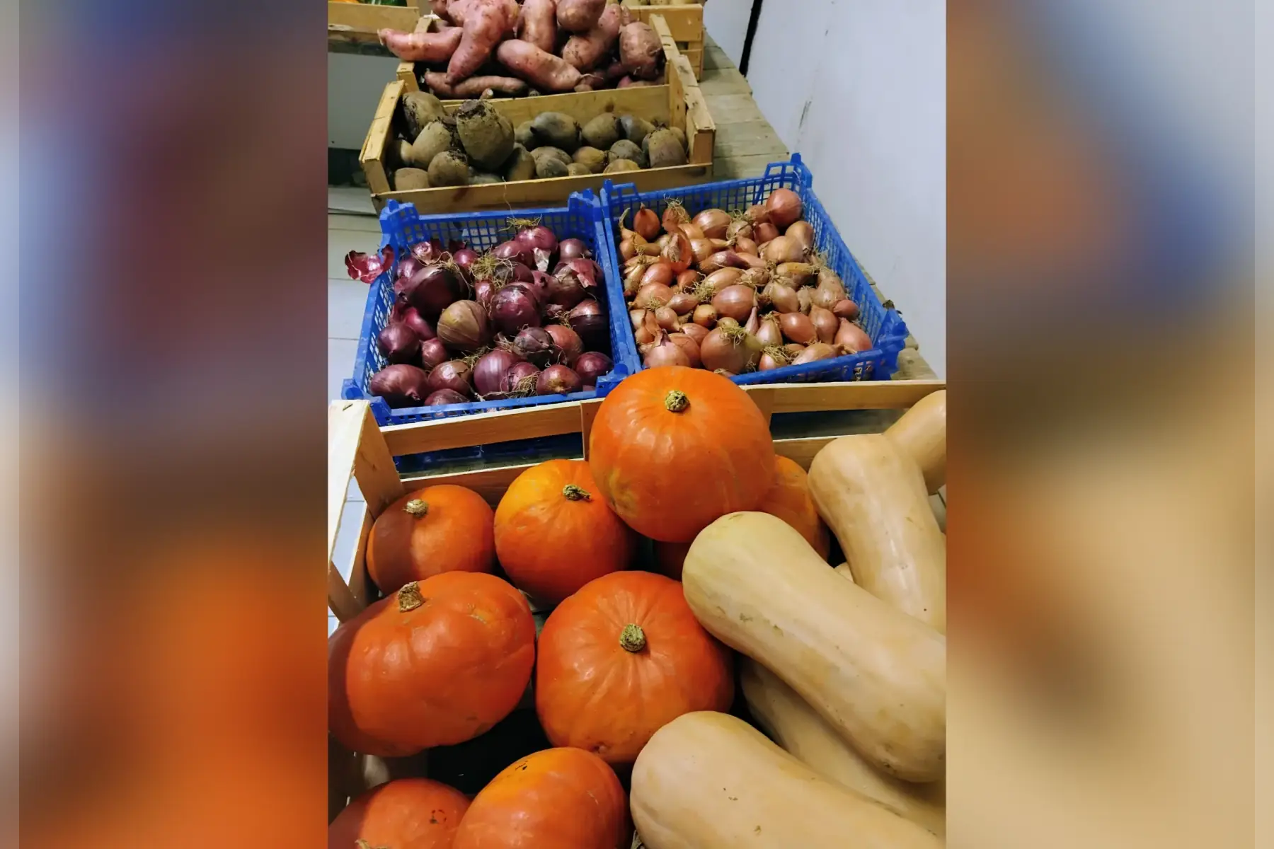 Les Jardins De La Chauvinière