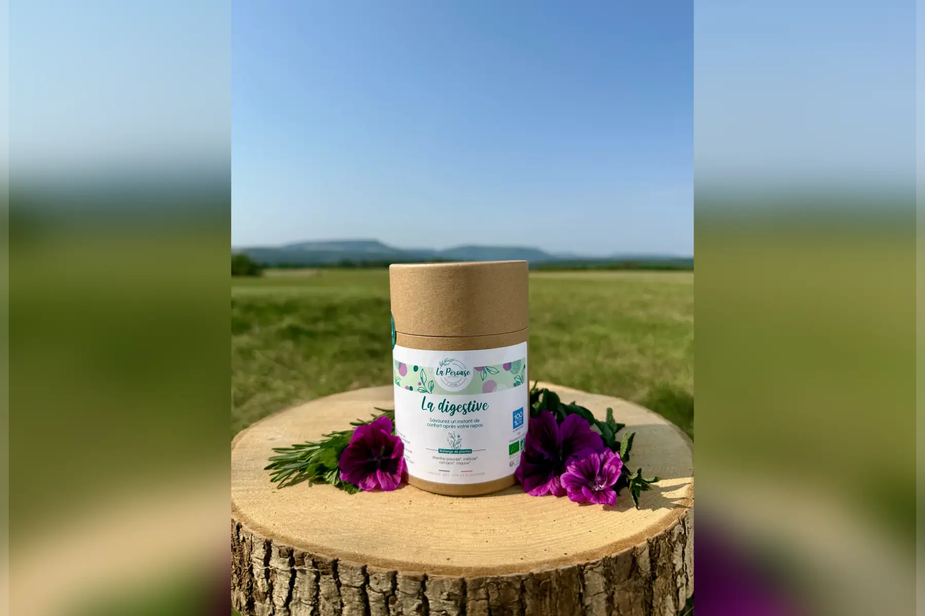 Infusion La digestive