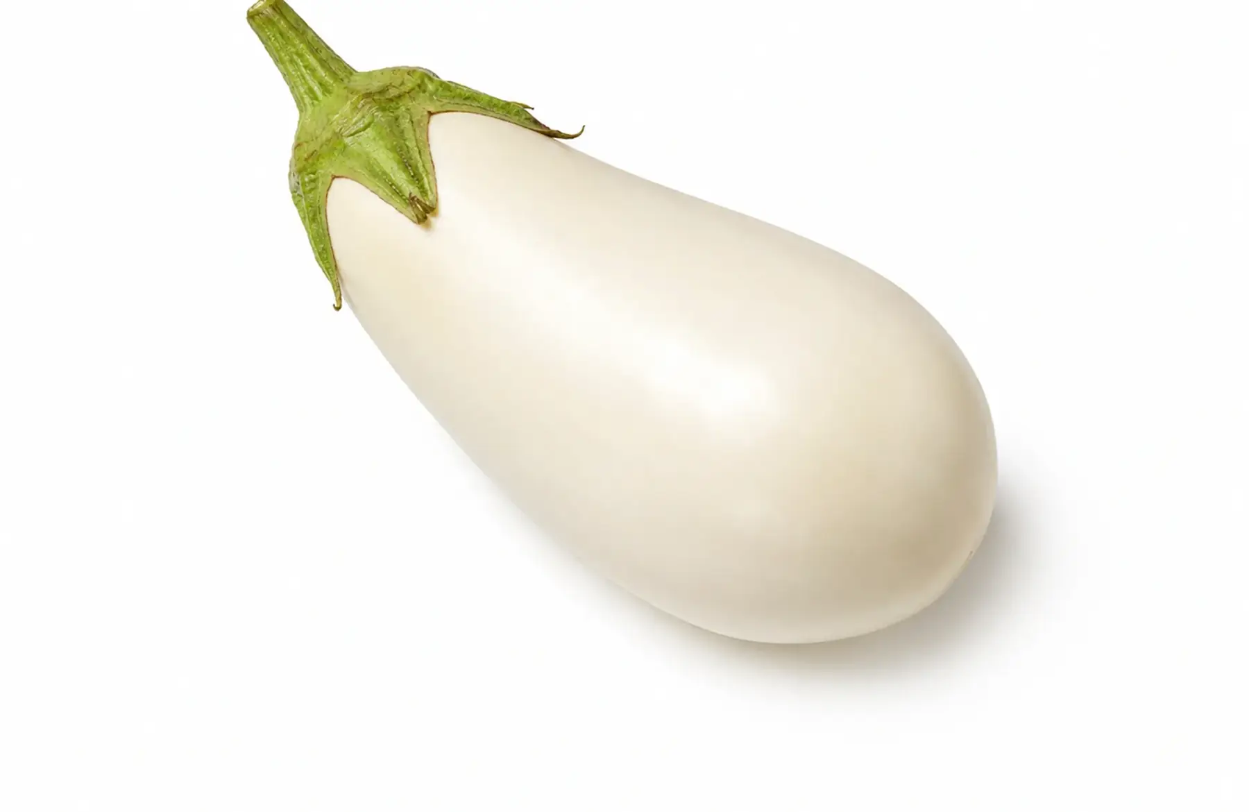Aubergine Blanche Clara