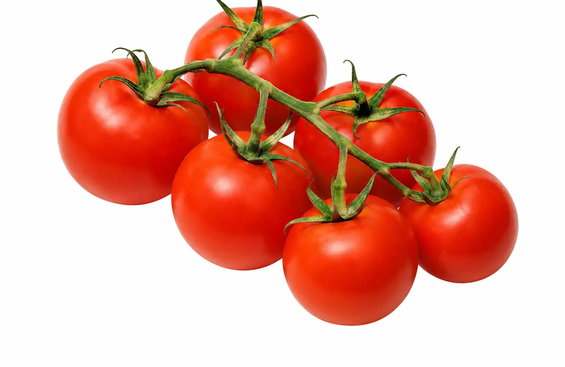 Tomate grappe Kalixo