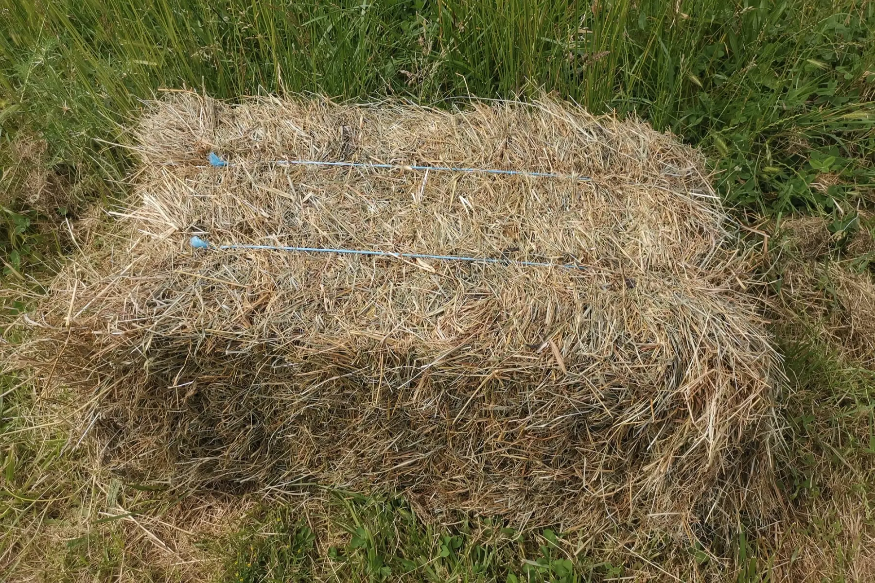 Foin (à la ferme)