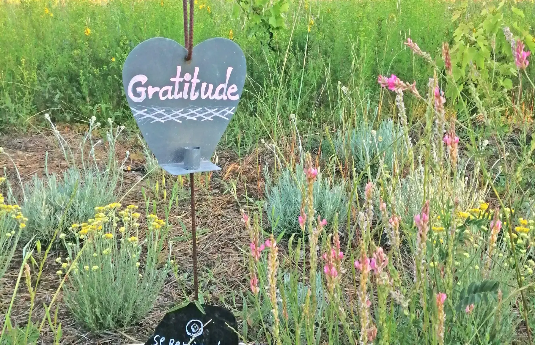AU JARDIN DU SOLEIL