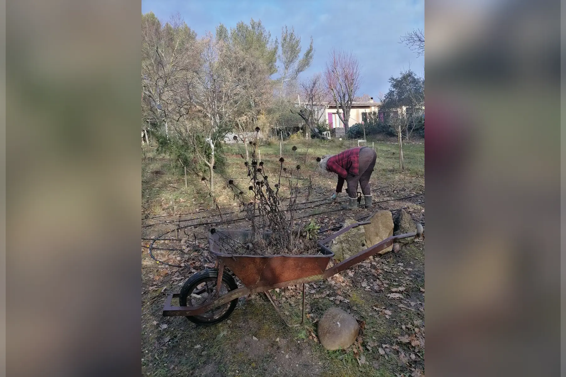 AU JARDIN DU SOLEIL