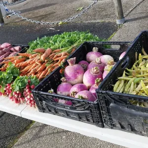 Les gourmandises du jardin
