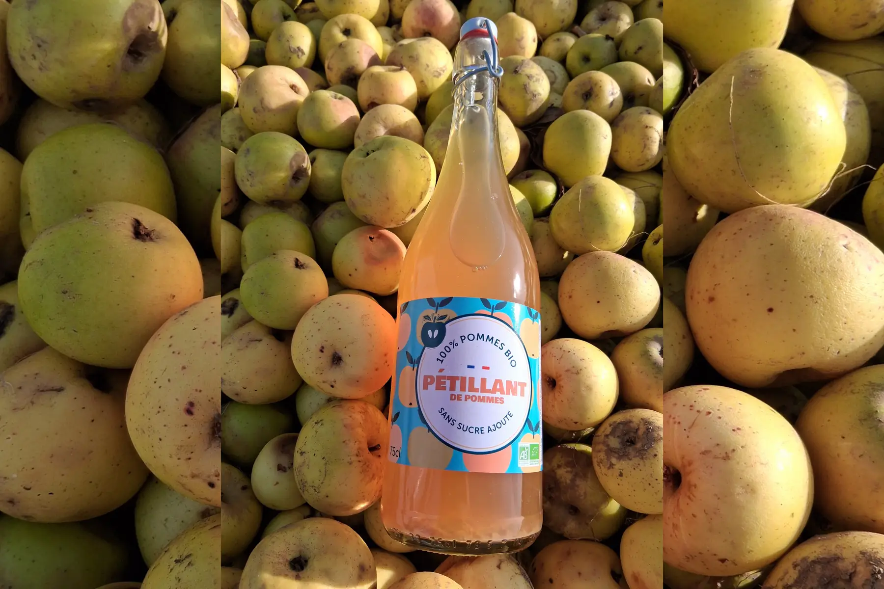 jus de pomme pétillant bio 75cl